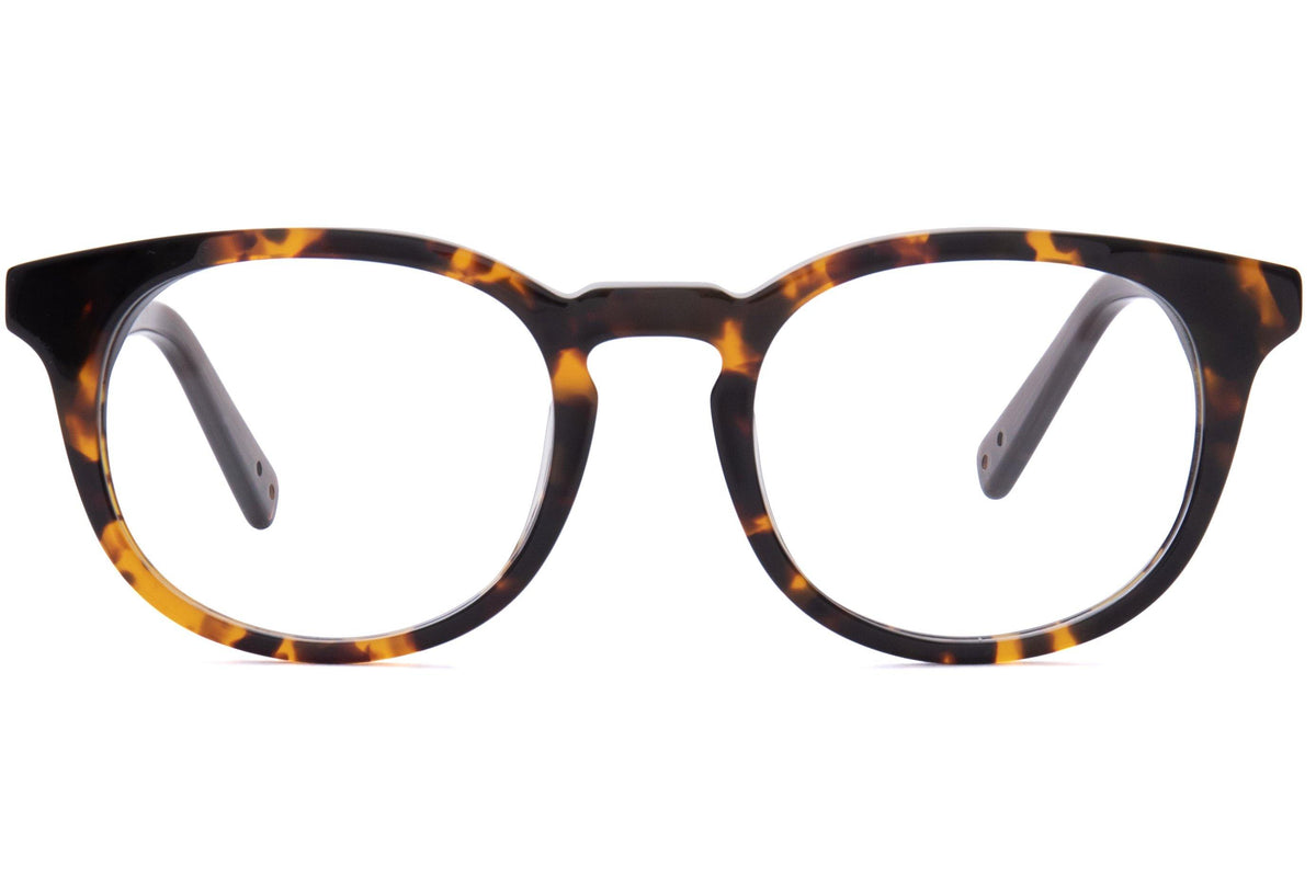 Sophie | Baxter Phillips | Fashionable Prescription Eyewear